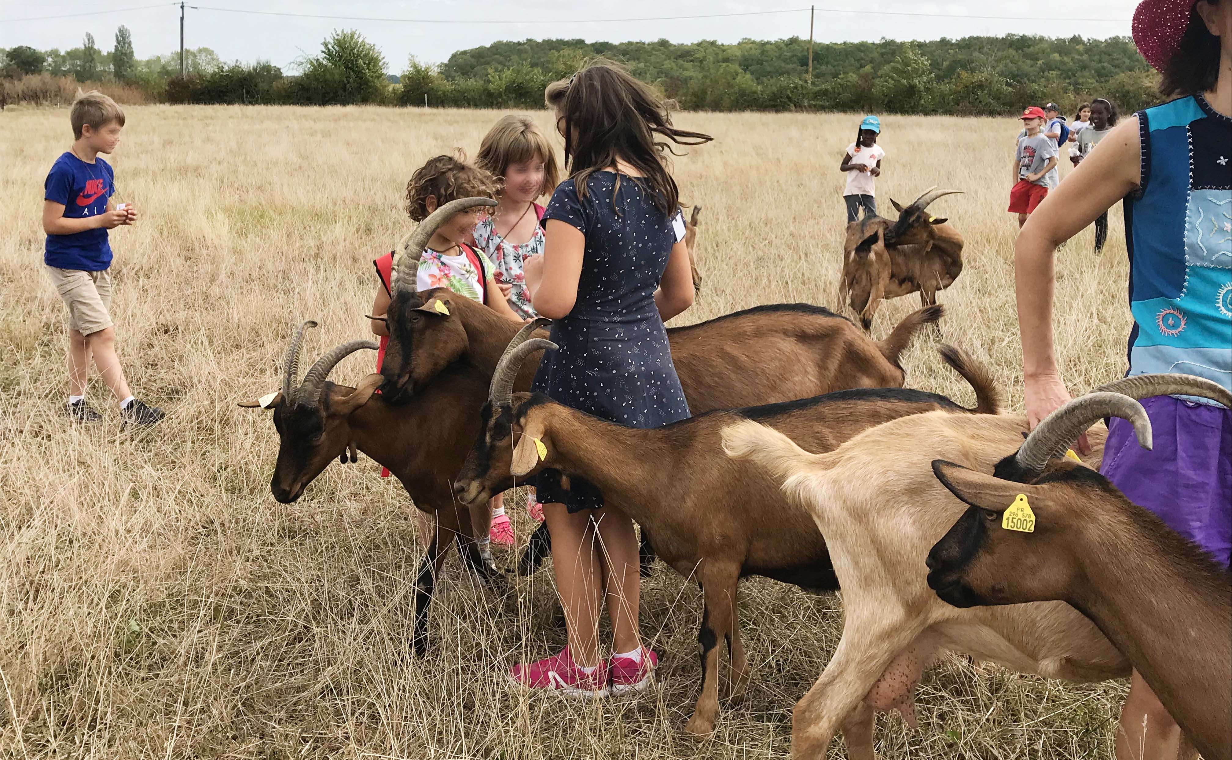 Enfants dans les paturages des chèvres