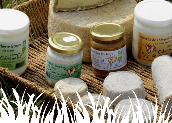 Nos fromages et produits laitiers de chèvre